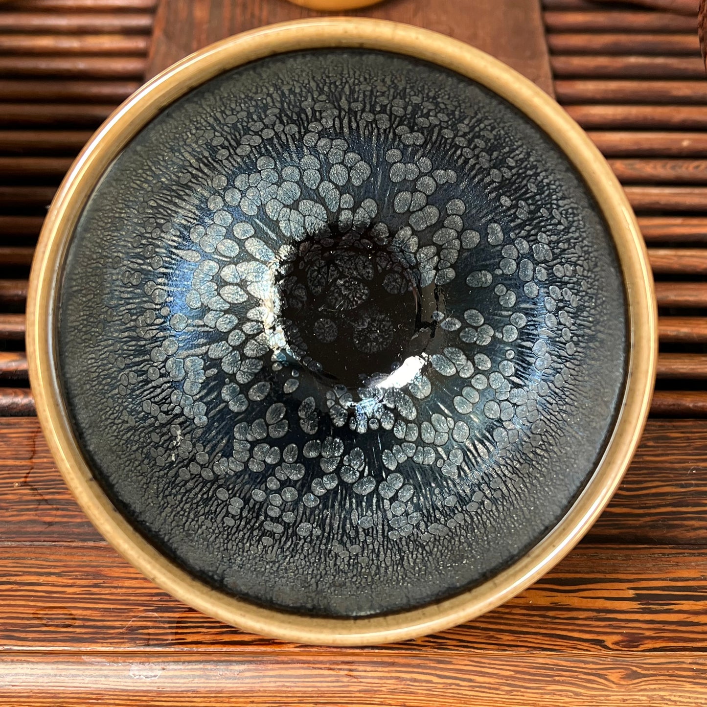 Beautiful tea cup show